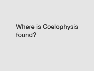 Where is Coelophysis found?