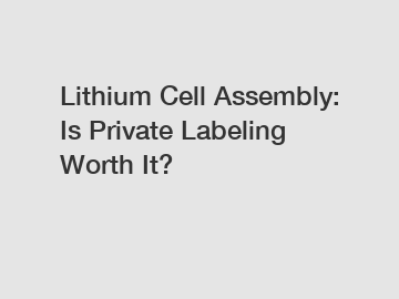 Lithium Cell Assembly: Is Private Labeling Worth It?