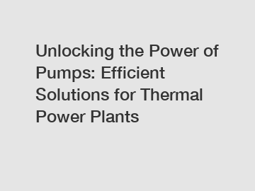 Unlocking the Power of Pumps: Efficient Solutions for Thermal Power Plants