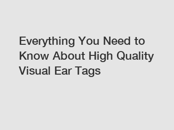 Everything You Need to Know About High Quality Visual Ear Tags