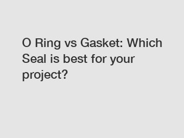 O Ring vs Gasket: Which Seal is best for your project?