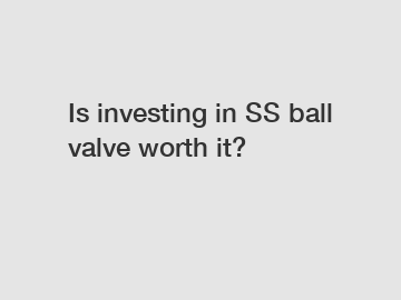 Is investing in SS ball valve worth it?