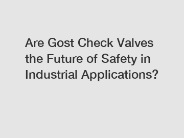 Are Gost Check Valves the Future of Safety in Industrial Applications?