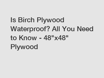 Is Birch Plywood Waterproof? All You Need to Know - 48