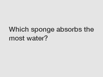 Which sponge absorbs the most water?