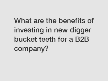 What are the benefits of investing in new digger bucket teeth for a B2B company?