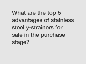 What are the top 5 advantages of stainless steel y-strainers for sale in the purchase stage?