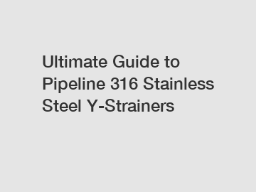 Ultimate Guide to Pipeline 316 Stainless Steel Y-Strainers