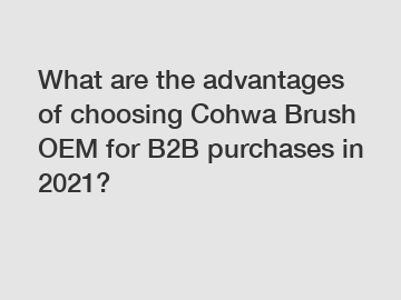 What are the advantages of choosing Cohwa Brush OEM for B2B purchases in 2021?