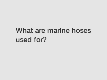 What are marine hoses used for?