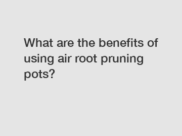 What are the benefits of using air root pruning pots?