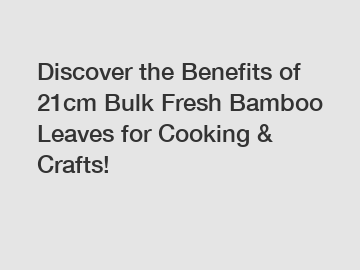 Discover the Benefits of 21cm Bulk Fresh Bamboo Leaves for Cooking & Crafts!