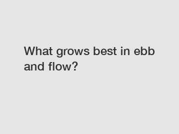 What grows best in ebb and flow?