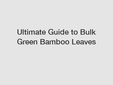 Ultimate Guide to Bulk Green Bamboo Leaves