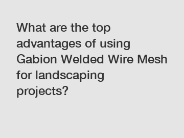 What are the top advantages of using Gabion Welded Wire Mesh for landscaping projects?