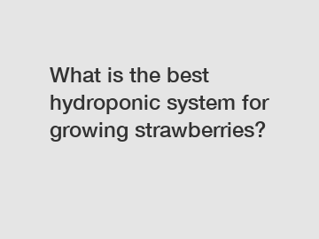 What is the best hydroponic system for growing strawberries?