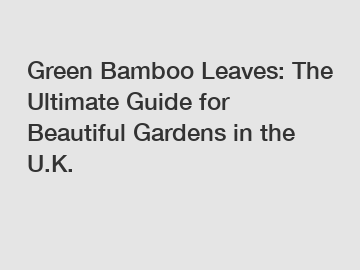 Green Bamboo Leaves: The Ultimate Guide for Beautiful Gardens in the U.K.