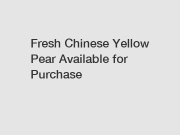 Fresh Chinese Yellow Pear Available for Purchase