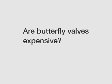 Are butterfly valves expensive?