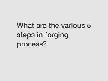 What are the various 5 steps in forging process?