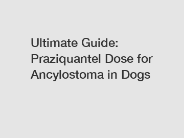 Ultimate Guide: Praziquantel Dose for Ancylostoma in Dogs
