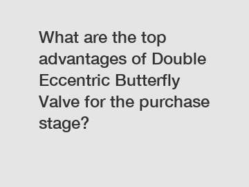 What are the top advantages of Double Eccentric Butterfly Valve for the purchase stage?