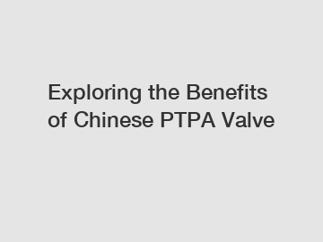 Exploring the Benefits of Chinese PTPA Valve