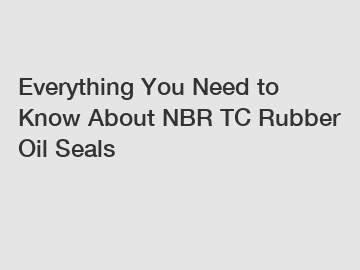 Everything You Need to Know About NBR TC Rubber Oil Seals