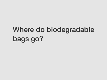 Where do biodegradable bags go?