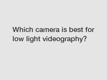 Which camera is best for low light videography?