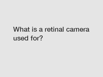 What is a retinal camera used for?