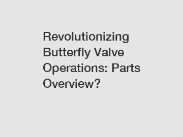 Revolutionizing Butterfly Valve Operations: Parts Overview?