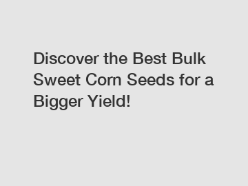 Discover the Best Bulk Sweet Corn Seeds for a Bigger Yield!