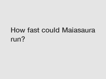 How fast could Maiasaura run?