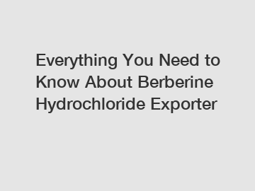 Everything You Need to Know About Berberine Hydrochloride Exporter