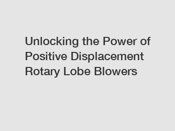 Unlocking the Power of Positive Displacement Rotary Lobe Blowers