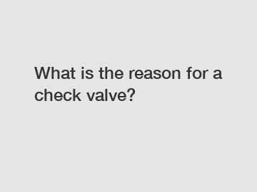 What is the reason for a check valve?