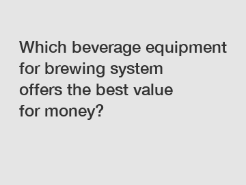 Which beverage equipment for brewing system offers the best value for money?