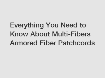 Everything You Need to Know About Multi-Fibers Armored Fiber Patchcords
