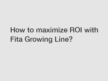 How to maximize ROI with Fita Growing Line?