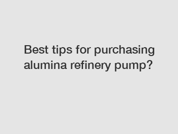 Best tips for purchasing alumina refinery pump?