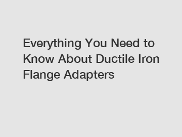 Everything You Need to Know About Ductile Iron Flange Adapters