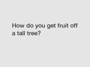 How do you get fruit off a tall tree?