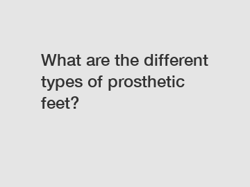 What are the different types of prosthetic feet?