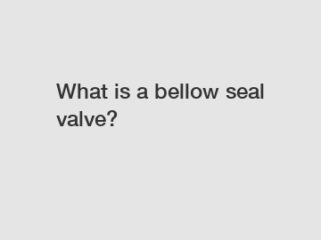 What is a bellow seal valve?