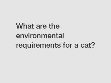 What are the environmental requirements for a cat?