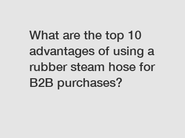 What are the top 10 advantages of using a rubber steam hose for B2B purchases?