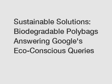 Sustainable Solutions: Biodegradable Polybags Answering Google's Eco-Conscious Queries