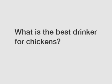 What is the best drinker for chickens?