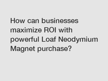 How can businesses maximize ROI with powerful Loaf Neodymium Magnet purchase?